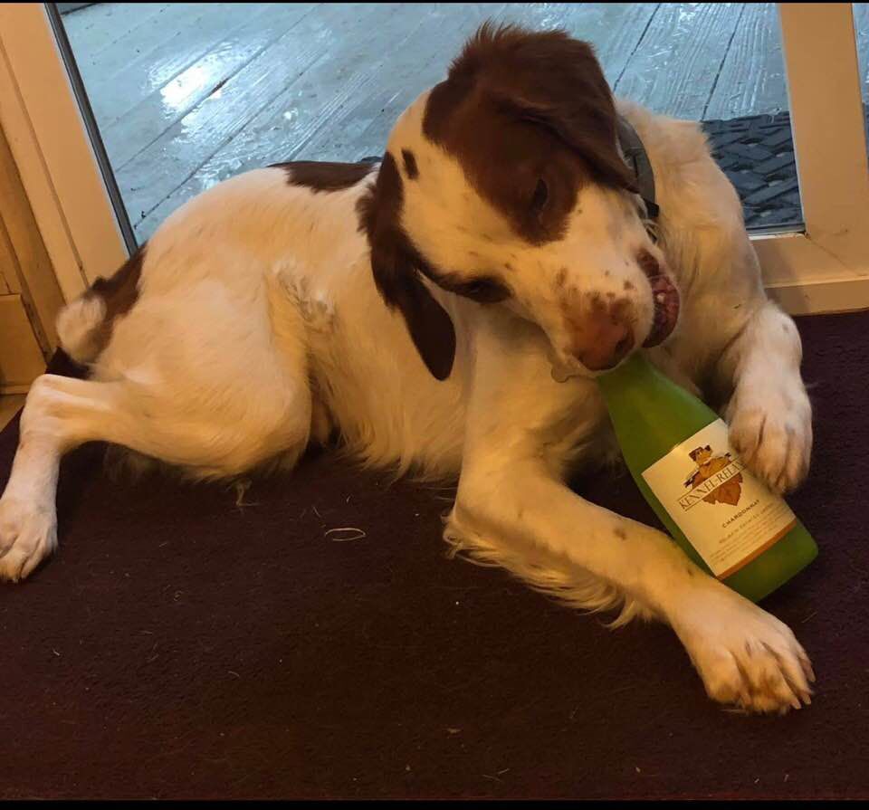 Mikko